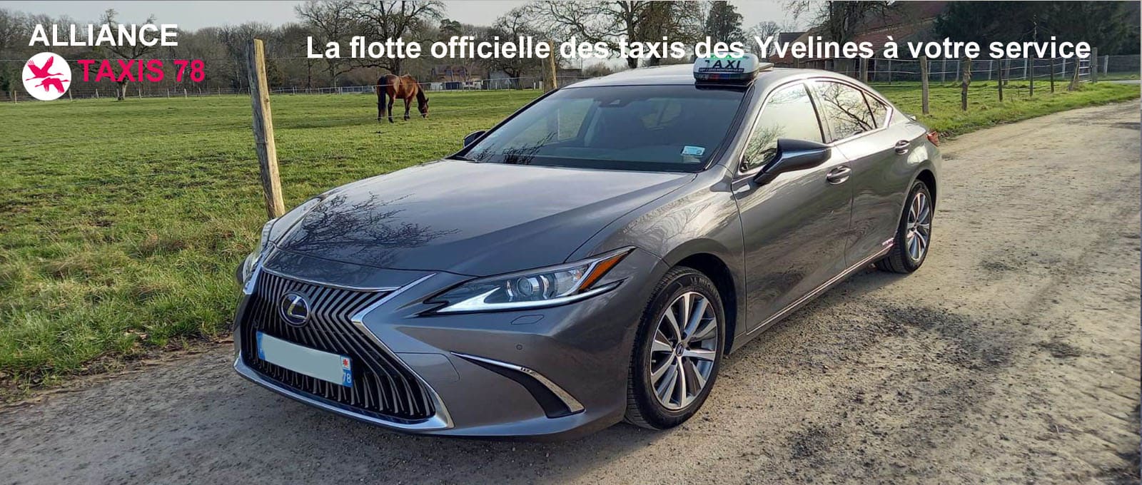 Voiture lexus grise